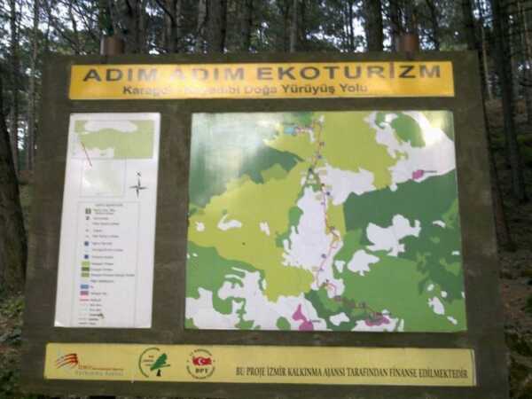 13237793 10154234634804869 7023593723431079905 n scaled - Bilgideposu