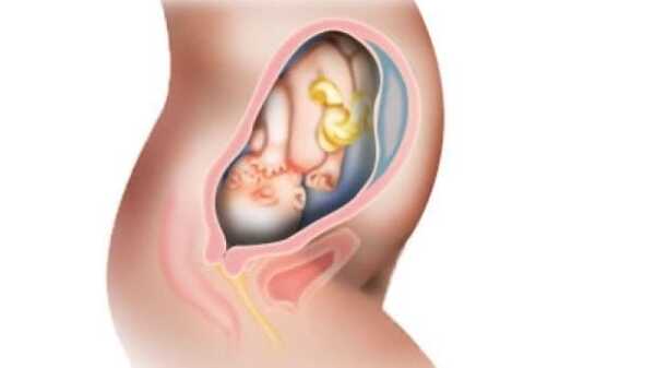 29 hafta gebelik scaled - Bilgideposu