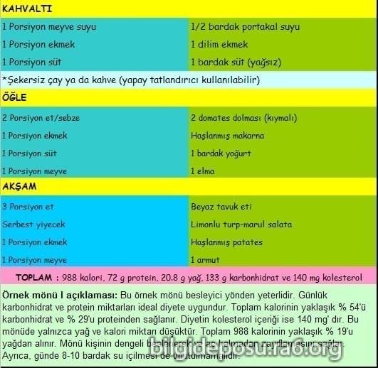 Şeker hastalığı beslenme listesi 2