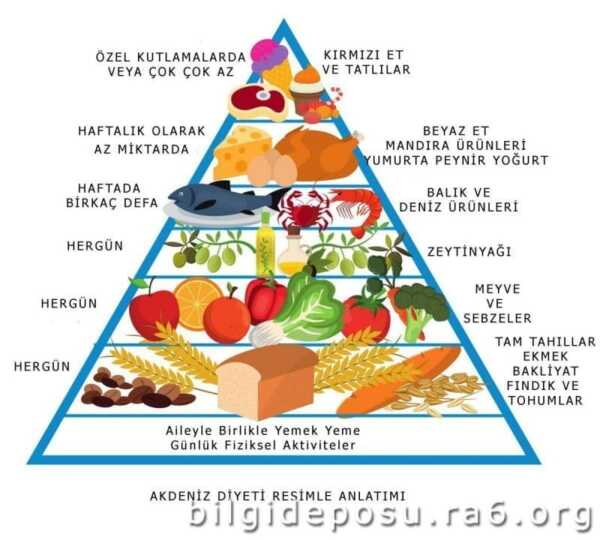 Akdeniz Diyeti Besin Piramidi