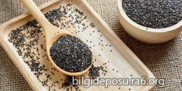chia tohumu yararlari scaled - Bilgideposu