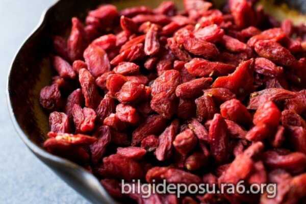 goji berry faydasi scaled - Bilgideposu