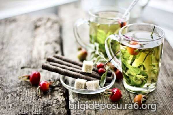 gribe iyi gelen bitkisel caylar scaled - Bilgideposu