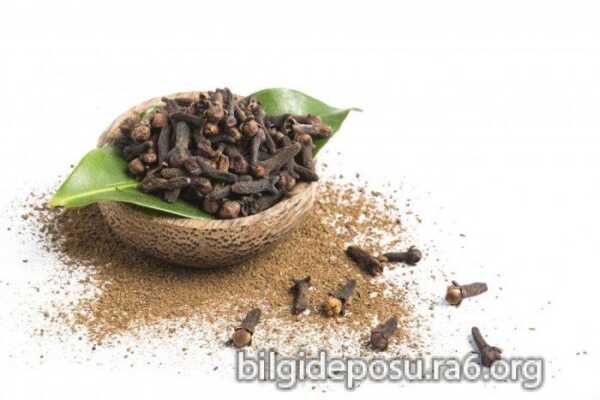 karanfil toz olarak karanfilin faydalari scaled - Bilgideposu