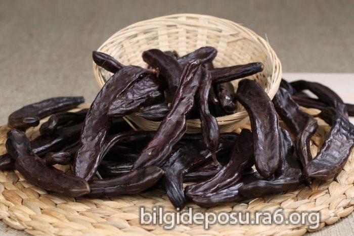 Keçiboynuzunun faydaları nelerdir?