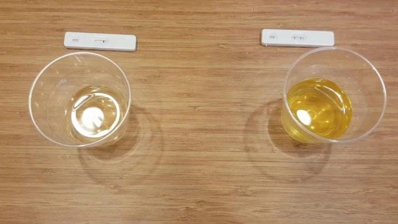 limonla gebelik testi - Bilgideposu