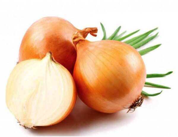 sogan kuru faydalari scaled - Bilgideposu