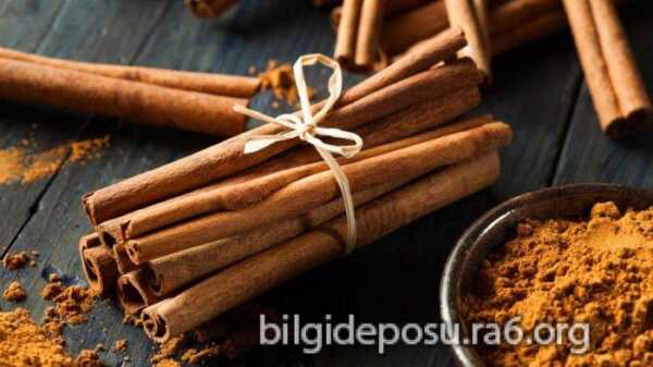 Tarçının iyi geldiği hastalıklar-Tarçının faydaları